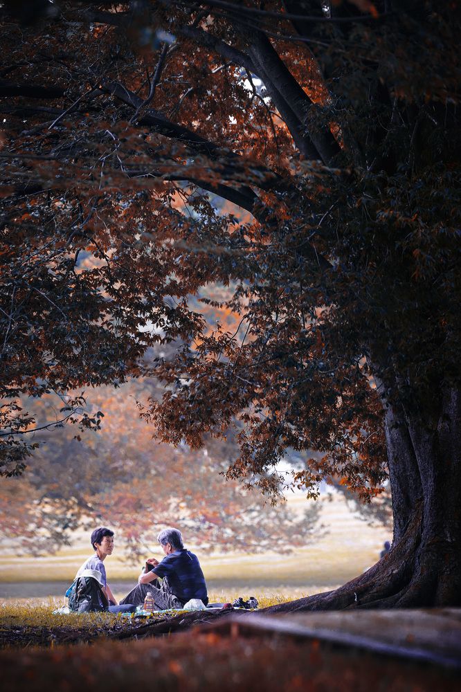 How many autumns do we have left…