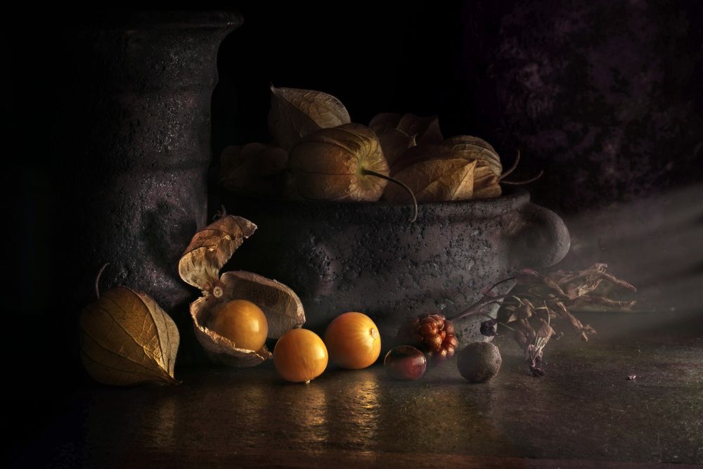 Photograph by Eduardo Modolo