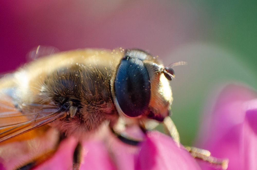 Photograph by Максим Колосов