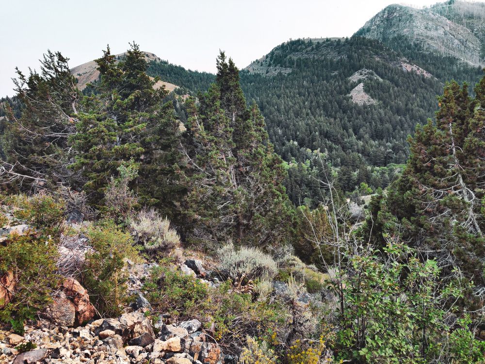 Photograph by Jason Morse