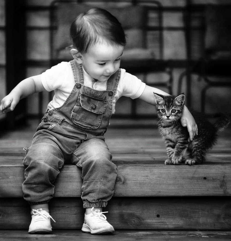 Фотография автора Hamidreza Saedi