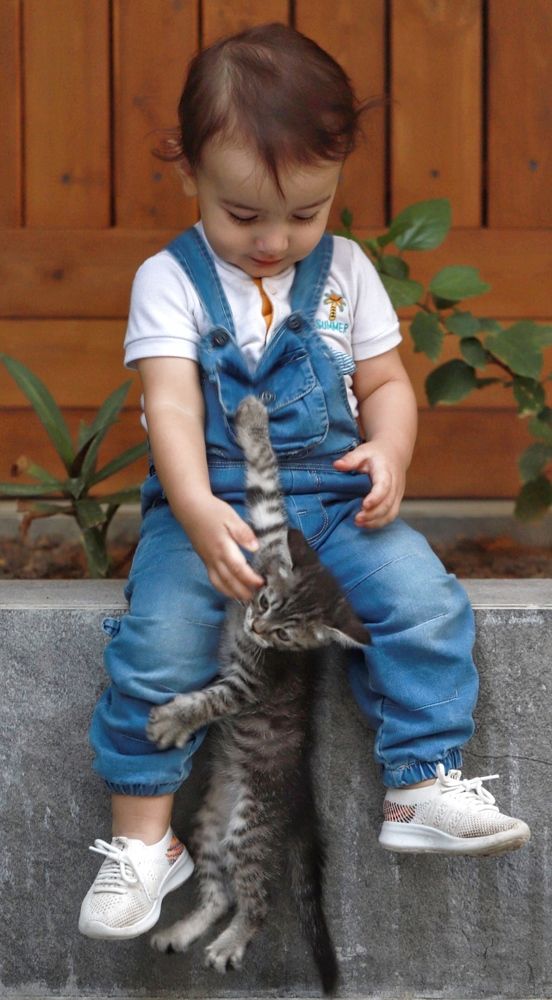 Фотография автора Hamidreza Saedi