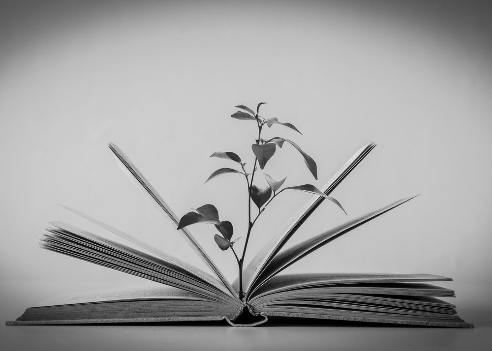 Photograph by Gabriel Villar