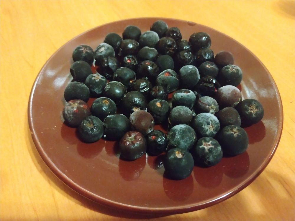 Photograph by Алексей Чурушкин