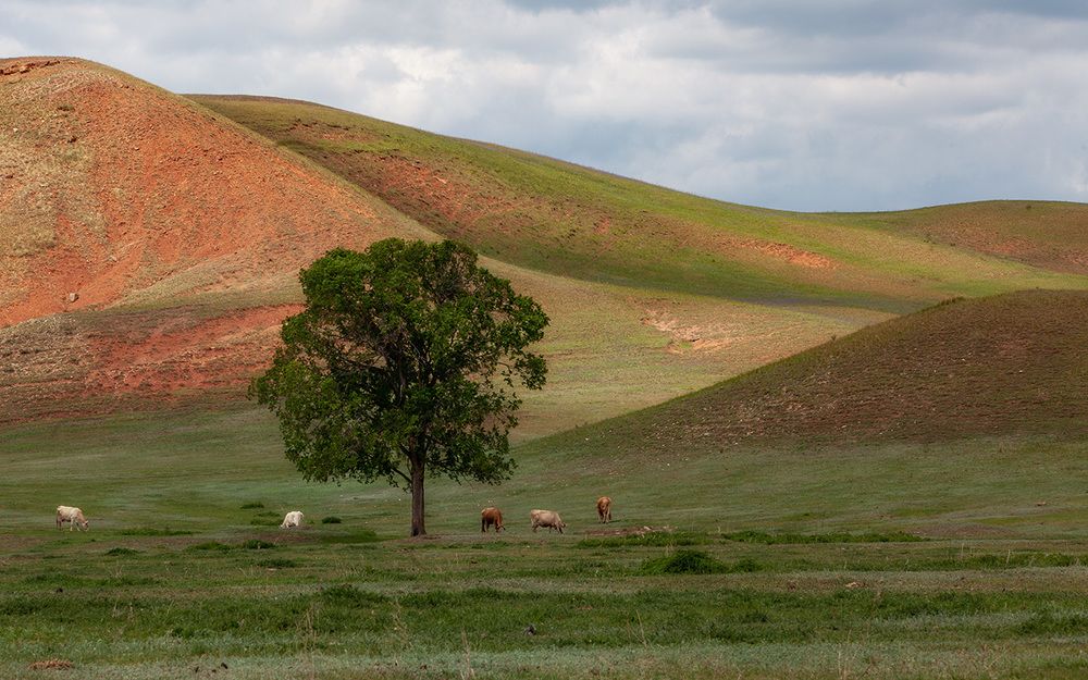 Photograph by Тамара Андреева