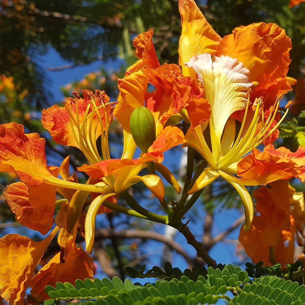 Photograph by Rocio Torres