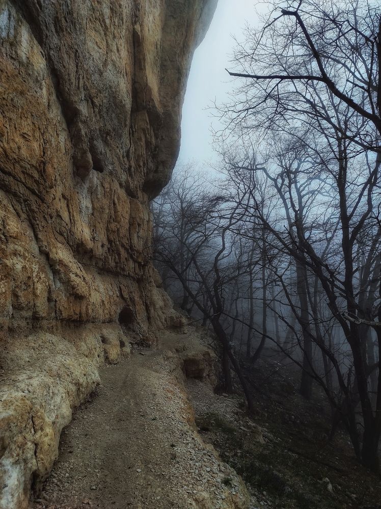 Photograph by Владимир Караман