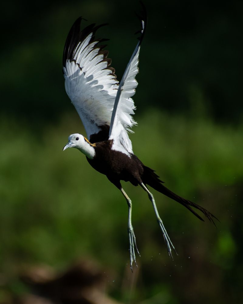 Come and fly away with me-e-e-e-e✨