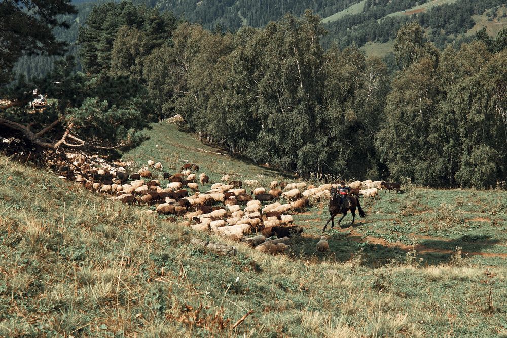 Photograph by Дарья Самойлова