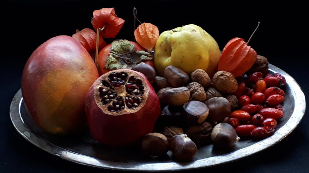 Photograph by Emil Zivanov