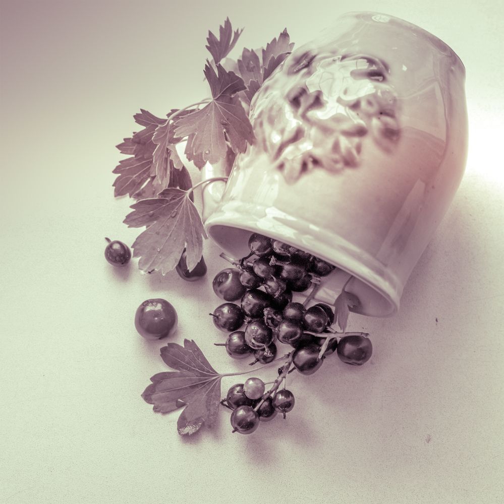 Photograph by Екатерина Кваша