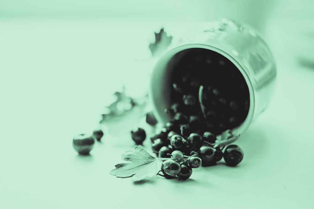 Photograph by Екатерина Кваша