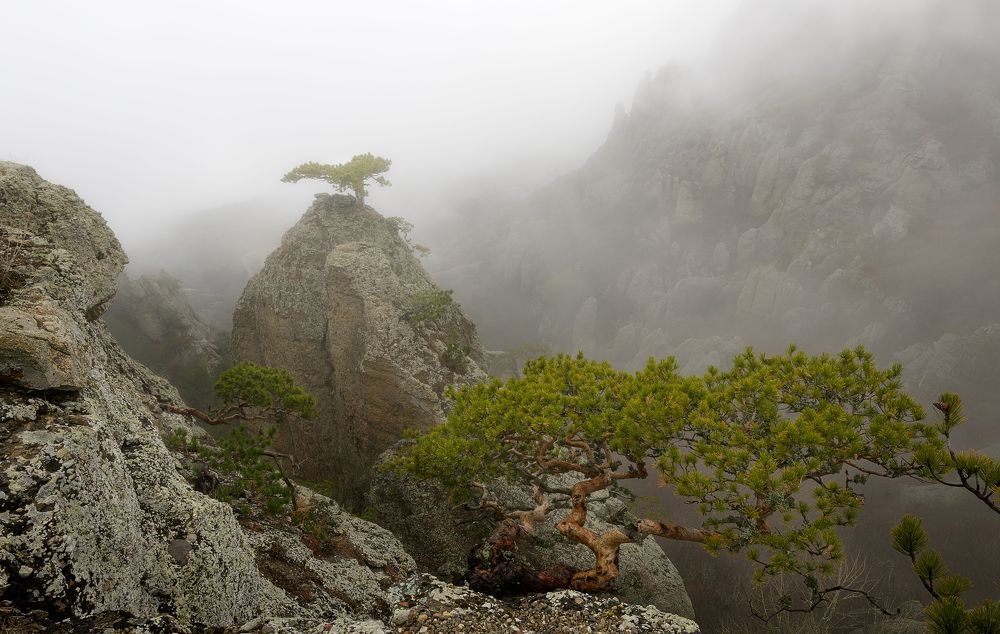 Photograph by Олег Иваницкий