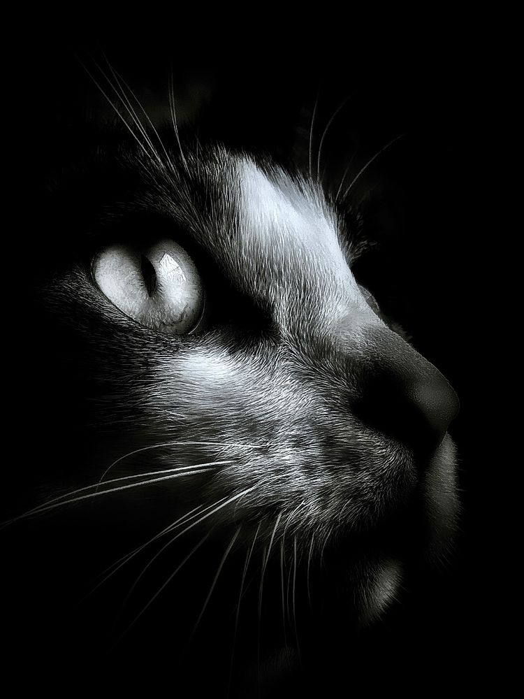 Photograph by Malgorzata Lemiec