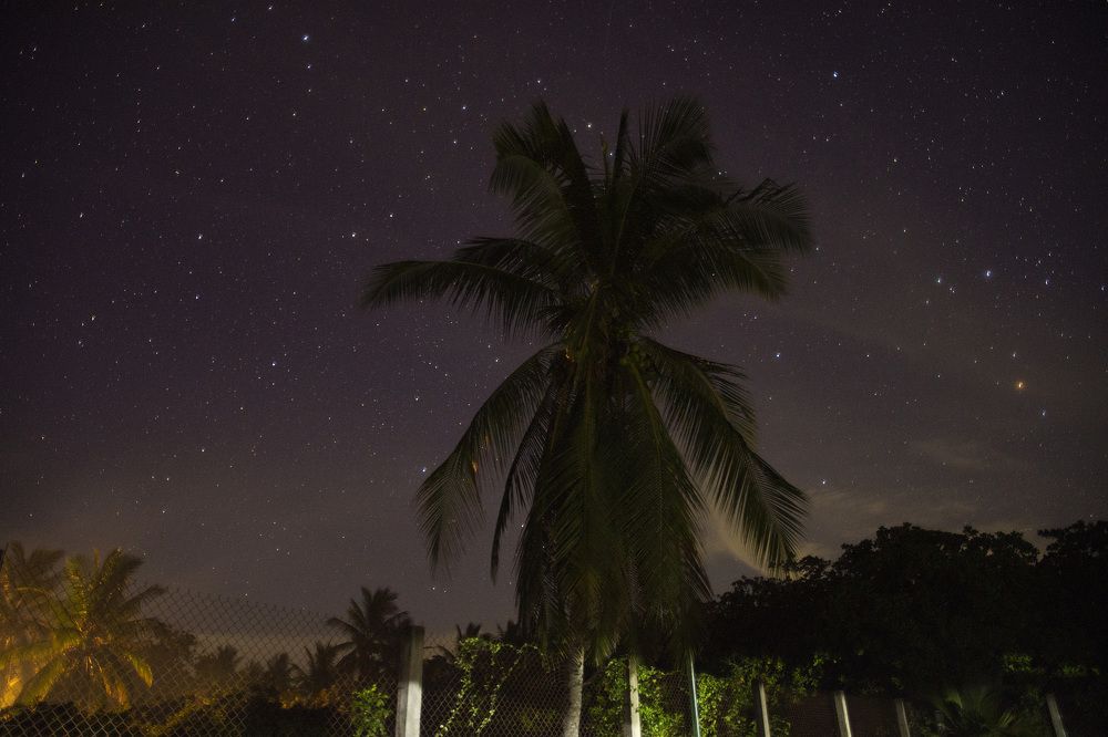 Photograph by Félix Coutiño