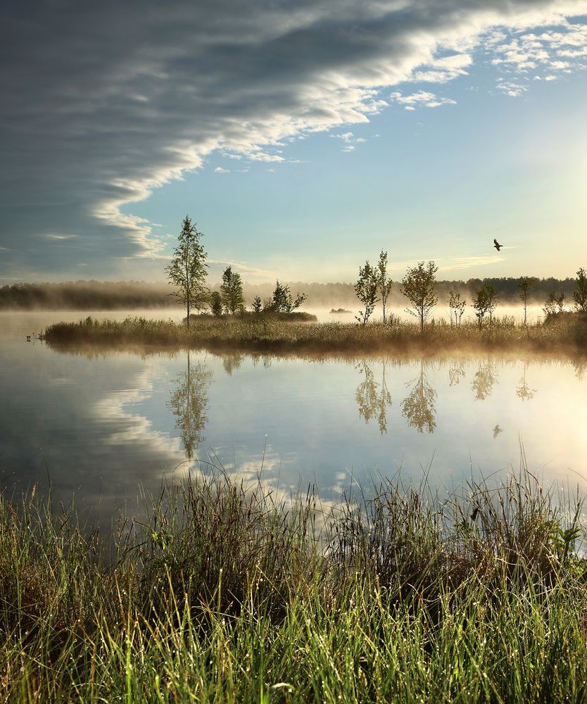 Photograph by Олег Фокин