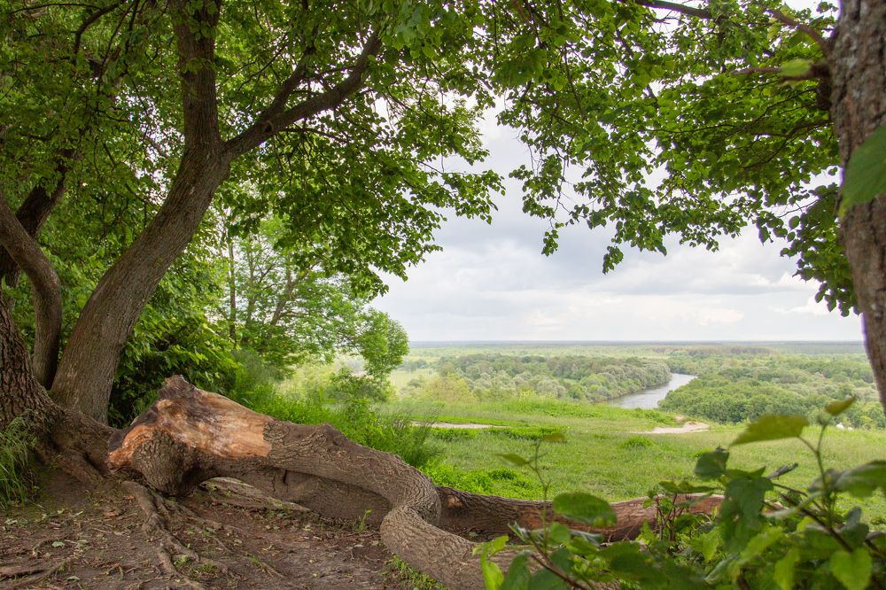 Photograph by Александр Скремеентов