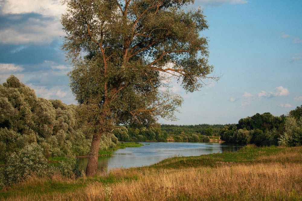 Photograph by Александр Скремеентов