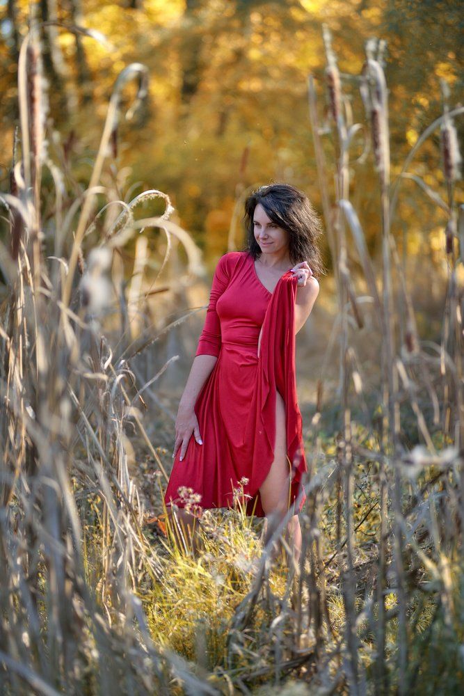 Фотография автора Владимир Кулаков