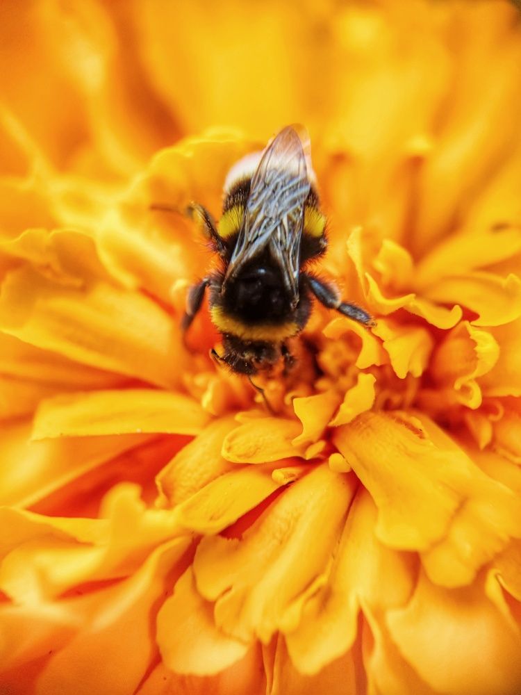 Photograph by Olga Royanova