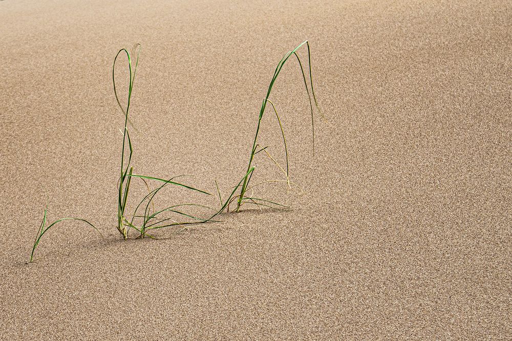 Фотография автора Félix Salvador Lopresti controfe