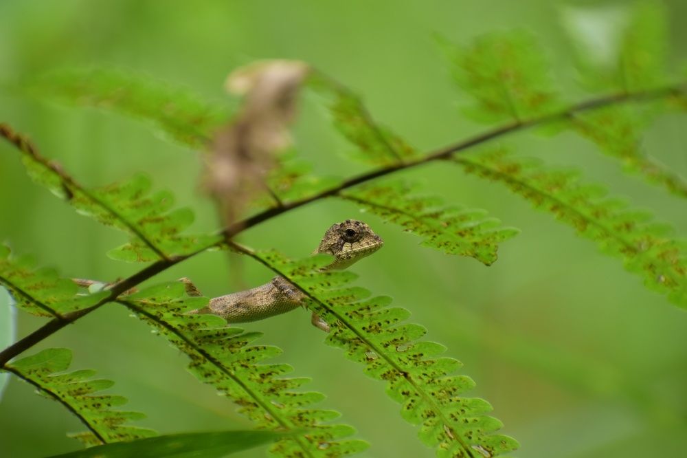 Photograph by Abhinav.kr