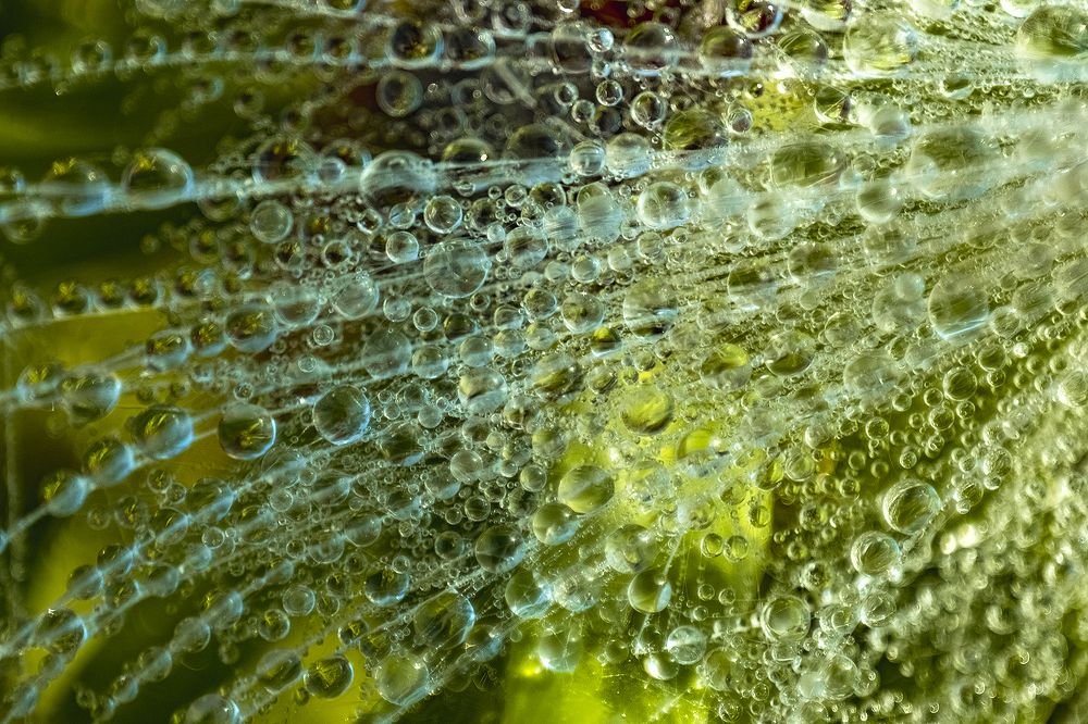 Photograph by Алексей Семенихин