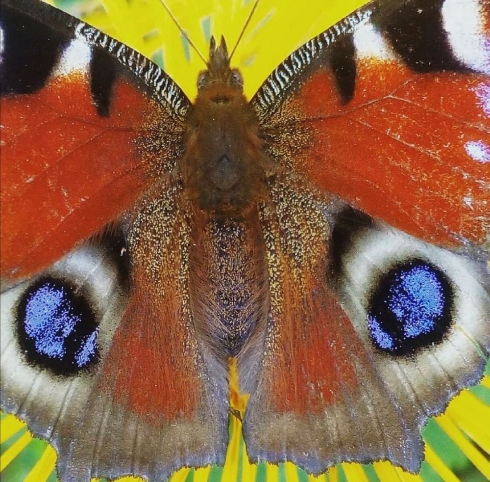 Photograph by Ксения Красина