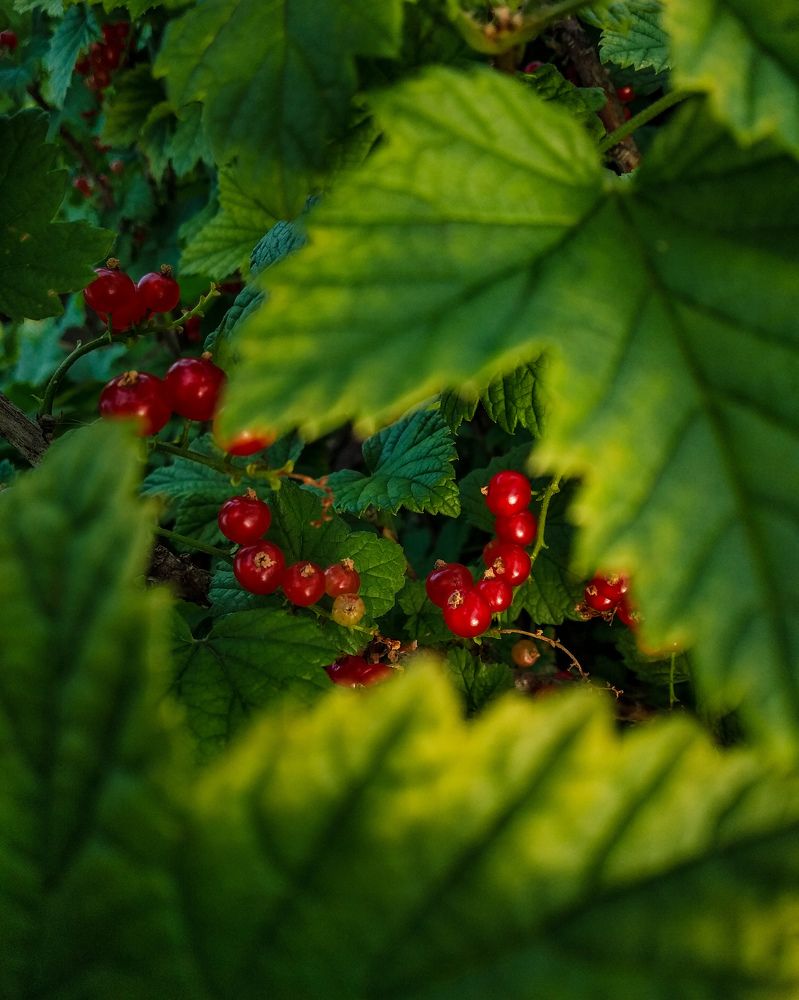 Photograph by Алия Аткельтирова