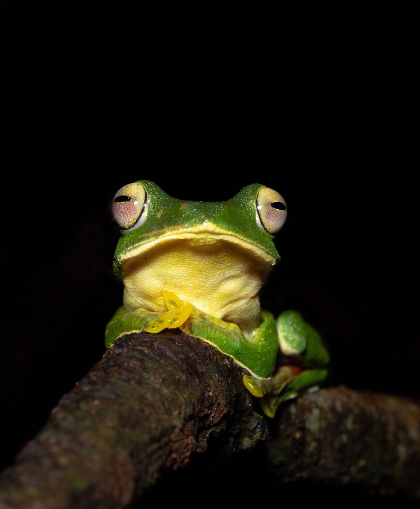 Photograph by Ankit Sharma