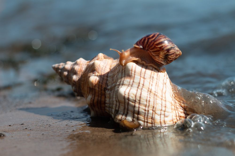 Photograph by Яна Соболева