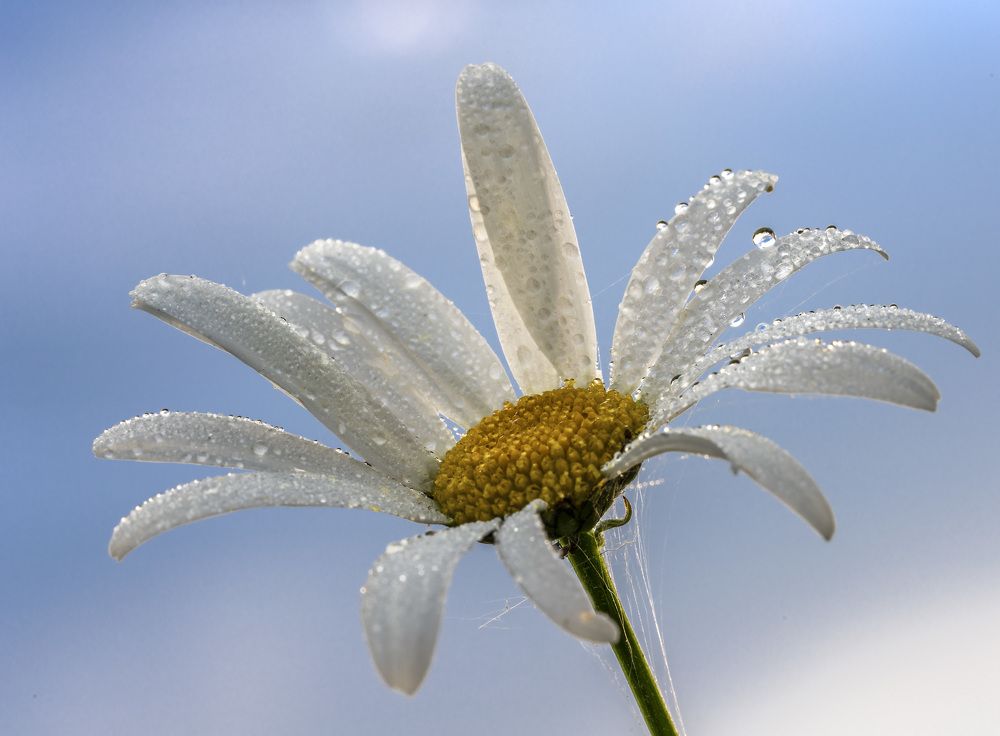 Photograph by Юрий Чернов