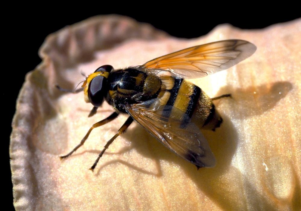 Photograph by Михаил Малец