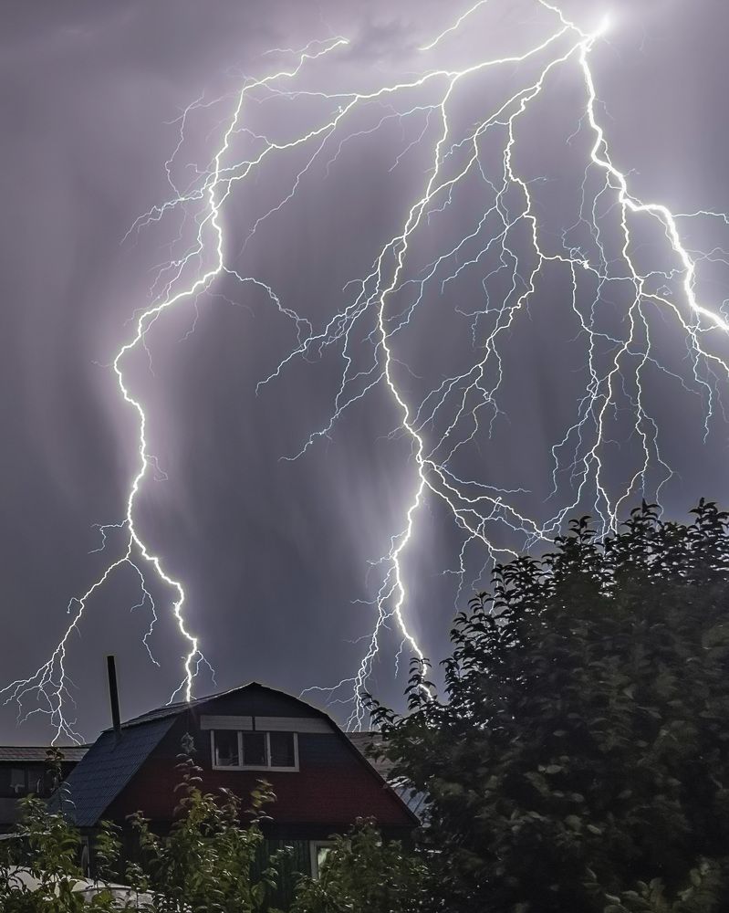 Ночное представление