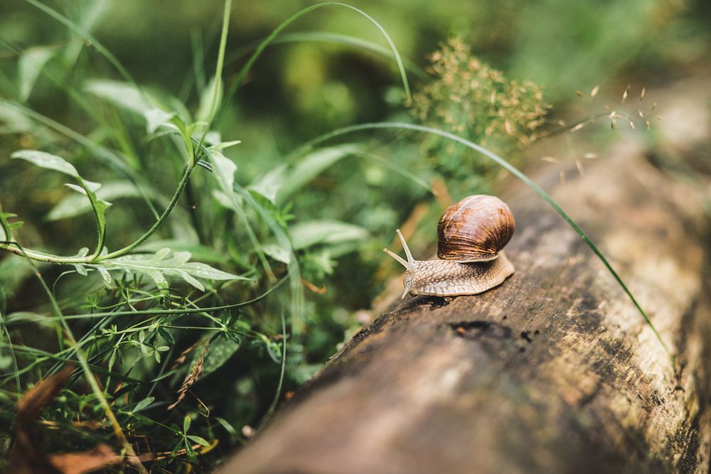 Photograph by Наталья Пагоцкая