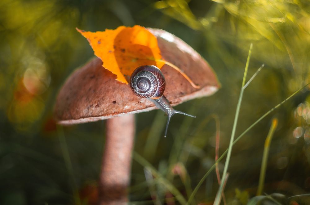 Photograph by Natalya Bulynnikova