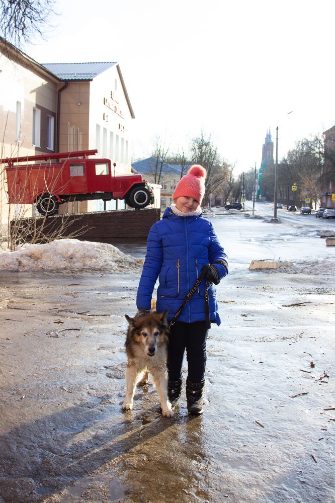 Верные друзья