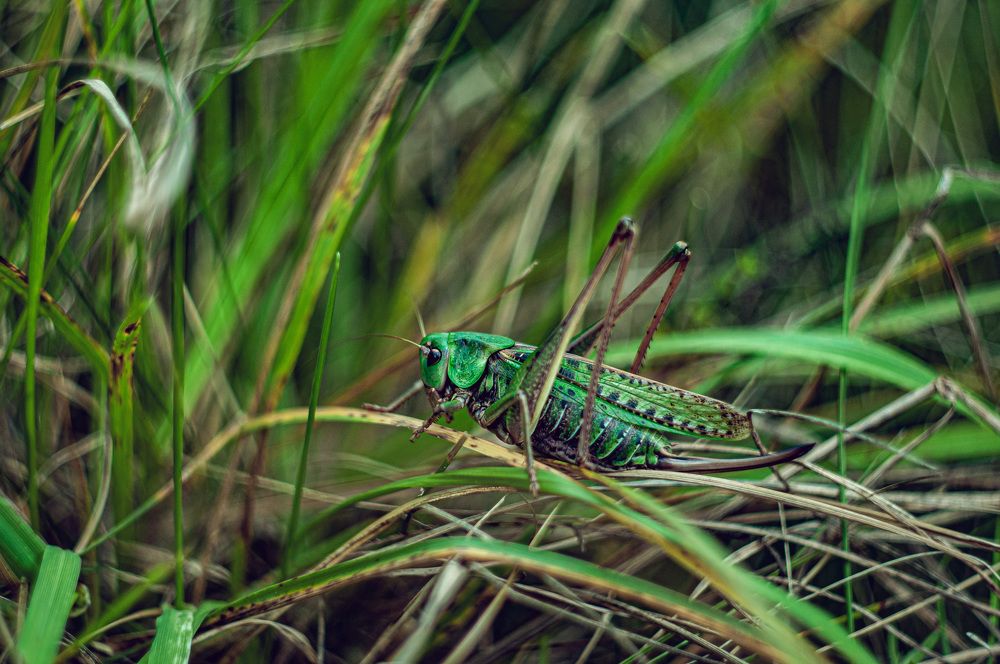 Photograph by Natalya Bulynnikova