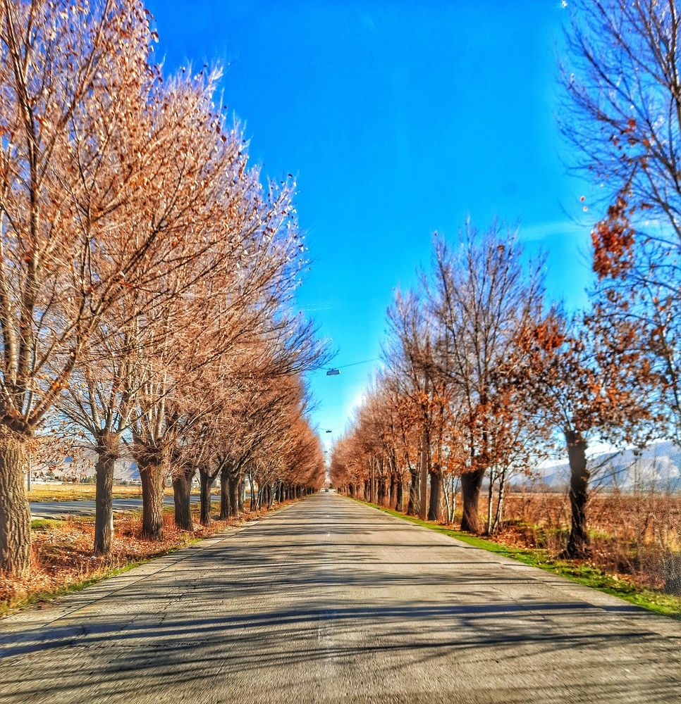 Photograph by Aref rafiepour