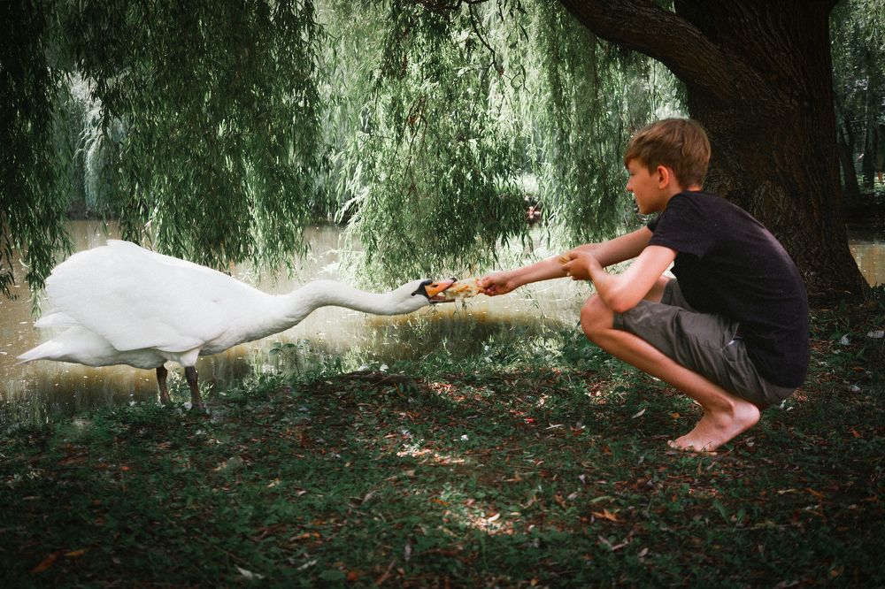 Photograph by Екатерина Кваша