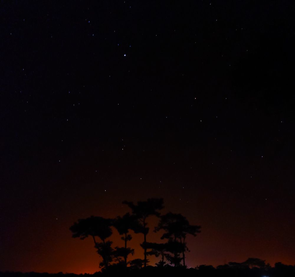 Photograph by Hasan Bodrul