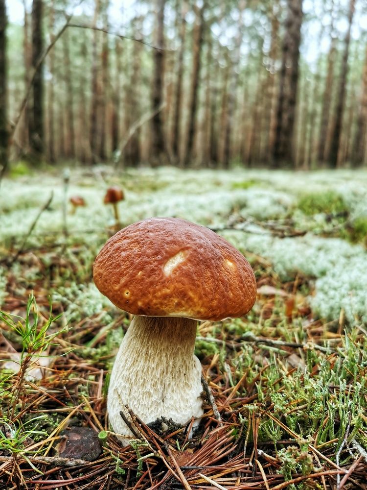 Photograph by Андрей Тур