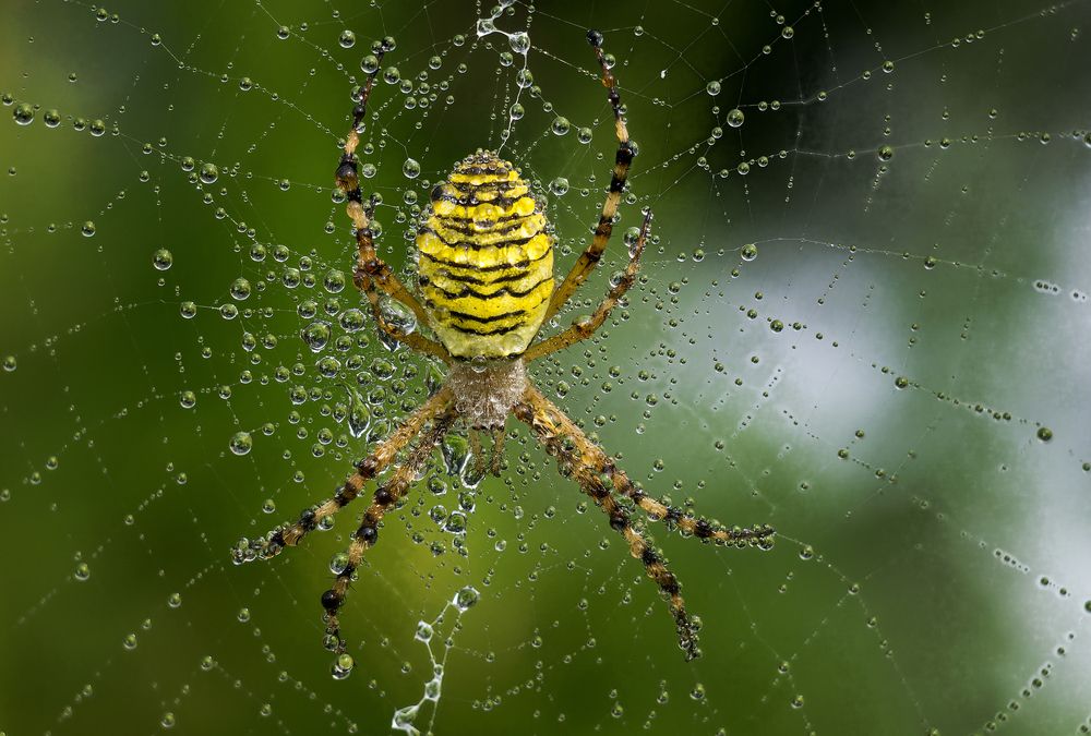 Photograph by Андрей Бурда