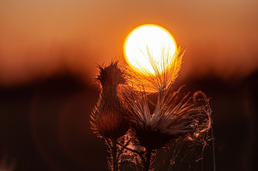 Photograph by Natalya Bulynnikova