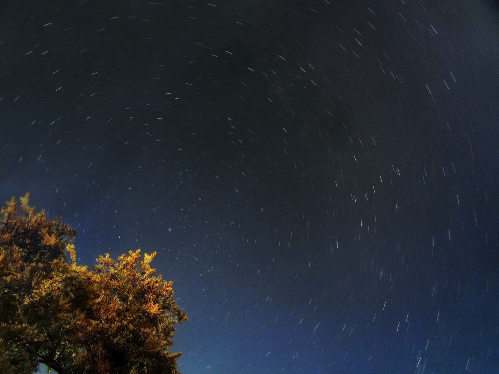 Photograph by Никита Казаков