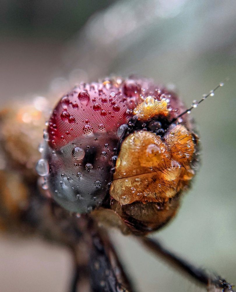 Фотография автора Subhash Devadeth