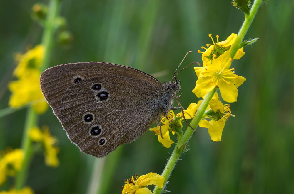 Photograph by Андрей Бурда