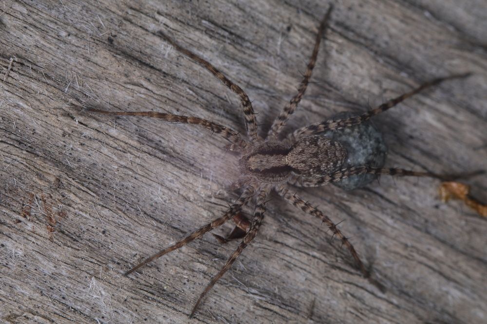 Photograph by Сергей Мозговой