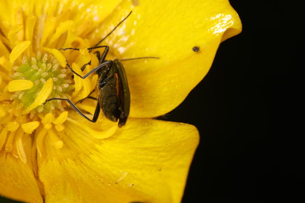 Photograph by Сергей Мозговой