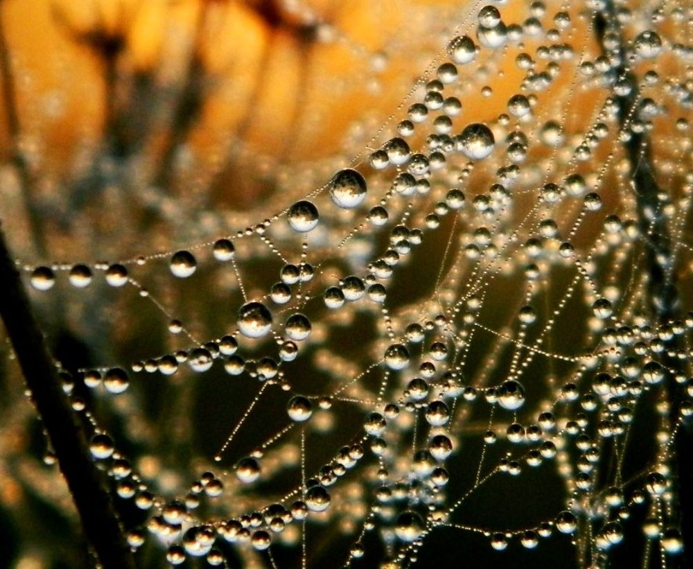 Photograph by Наталья Соболева